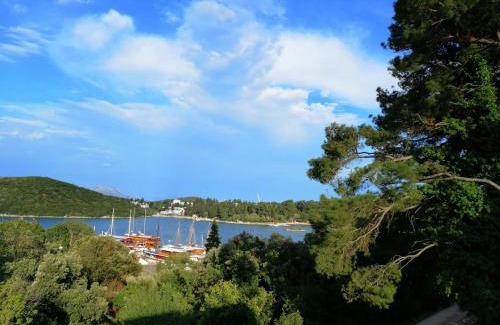 Cove Tri Zala (Zrnovo) Apartamento | Apartment Markorcula