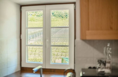 Laives Apartamento | Apartamento 'Maso Renner Quadrilocale Torre' con vistas a la montaña, jardín compartido y Wi-Fi