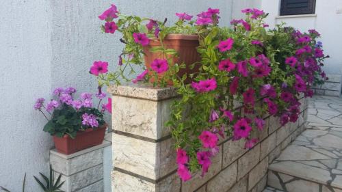 Municipality of Omisalj Apartamento | Apartment Melina