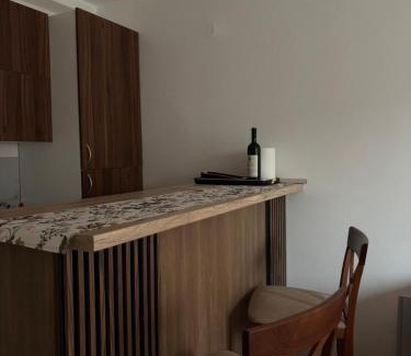 Pluzine Apartamento | Apartment Melina