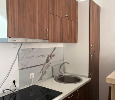 Pluzine Apartamento | Apartment Melina