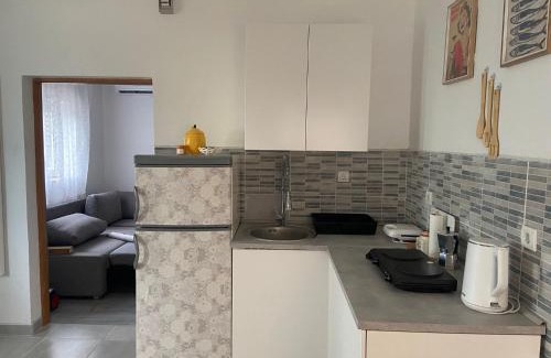 Pavicini Apartamento | Apartment MiA with WIFi and private garden