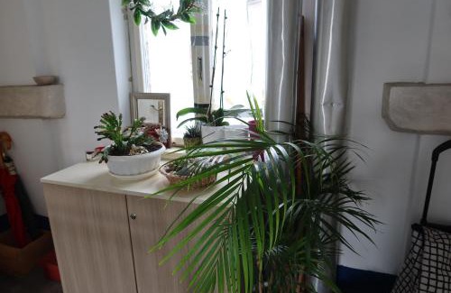 Savamala Apartamento | Apartment Mina
