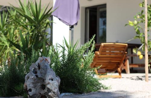 Cove Basina (Jelsa) Apartamento | Apartment Miran