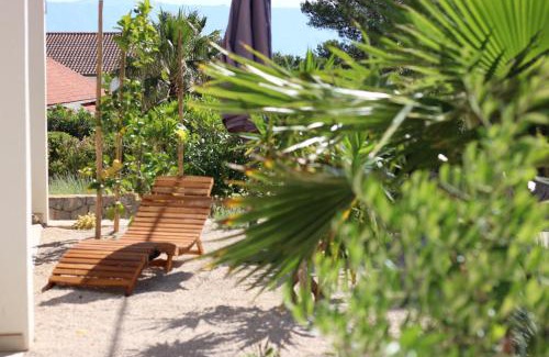 Cove Basina (Jelsa) Apartamento | Apartment Miran