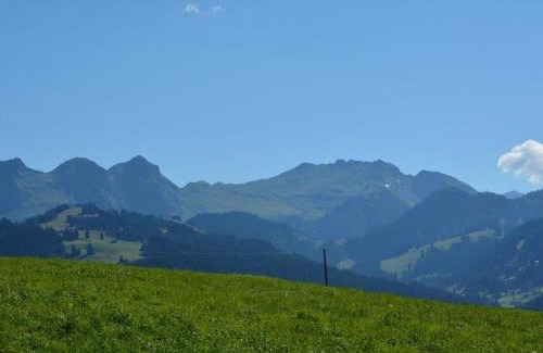 Schoenried Apartamento | Apartment Mireille Nr- 3 by Interhome