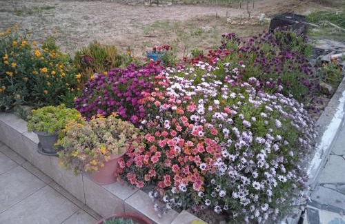 Agios Nikolaos Apartamento | Apartment Mixail 1