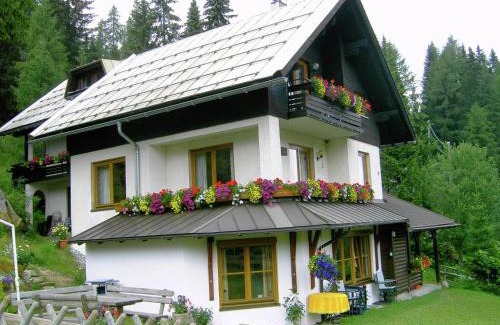 Sonnenalpe Nassfeld Apartamento | Apartment Nassfeld near Ski Slopes