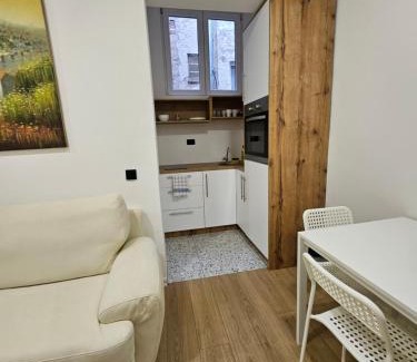 Vracar Apartamento | Apartment near city centar