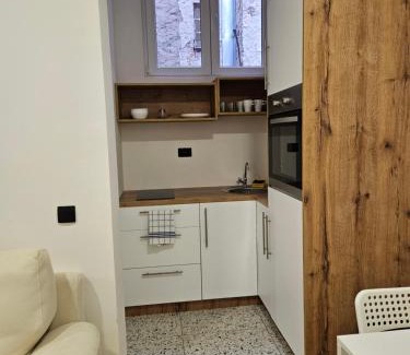Vracar Apartamento | Apartment near city centar