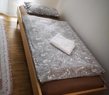 Gallus Apartamento | Apartment near fair and central City in few min, with garden