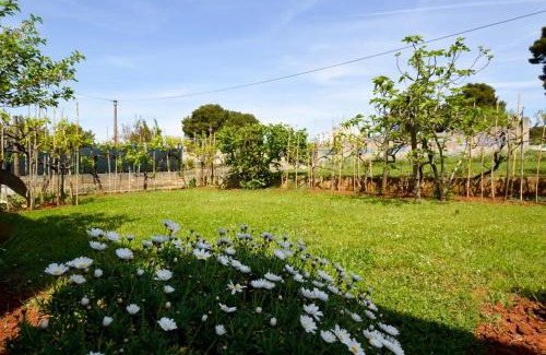 Vintijan Apartamento | Apartment Nela 23