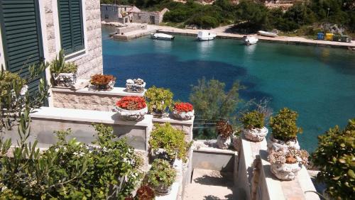 Cove Donja Krusica (Donje selo) Apartamento | Apartment Nikola