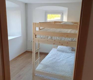 Trzic Apartamento | Apartment old house Koren
