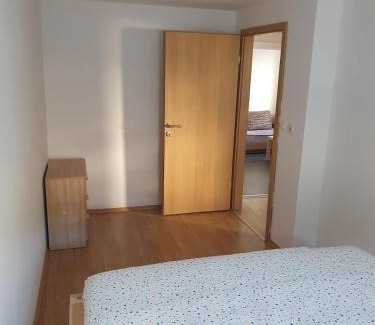 Trzic Apartamento | Apartment old house Koren