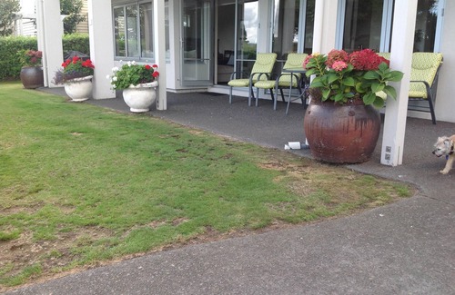 Hilltop Apartamento | Apartamento en Crowther