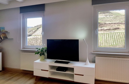 Assmannshausen Apartamento | ¡Apartamento en el borde del bosque con una terraza cerca de los viñedos! "Rheinsteig"