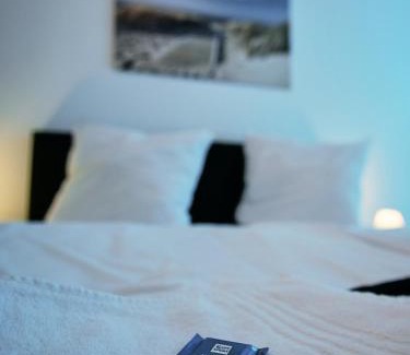 Bruhlervorstadt Apartamento | Apartment OTTO II - Erfurt Zentrum