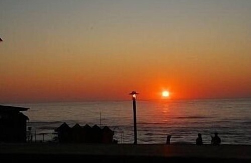 Vieira de Leiria Apartamento | Apartamento sobre la playa y Marginal
