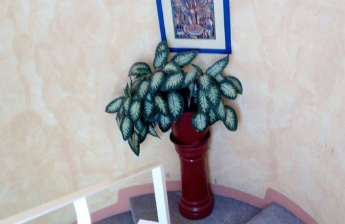 Lázaro Cárdenas Apartamento | Apartment Pablito - .