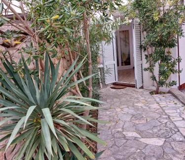 Gajac Apartamento | Apartment Pamela