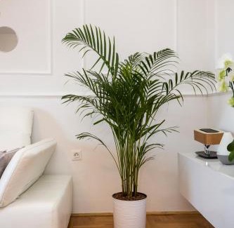 City Center Apartamento | Apartment Parentium