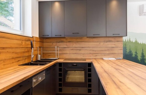 Balatonszarszo Apartamento | Apartamento Park 1 by Interhome