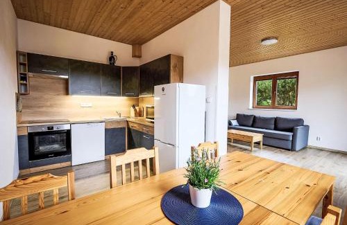 Nova Ves nad Nisou Apartamento | Apartment Pod Černou Studnicí-1 by Interhome