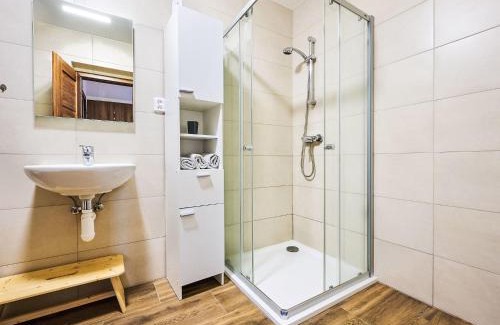 Nova Ves nad Nisou Apartamento | Apartment Pod Černou Studnicí-1 by Interhome