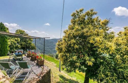 Pescia Apartamento | Apartment Podere Cima a Zano - Apt-Fienile PCA107 by Interhome