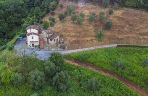 Pescia Apartamento | Apartment Podere Sondino - Apt-I Cinghiali by Interhome