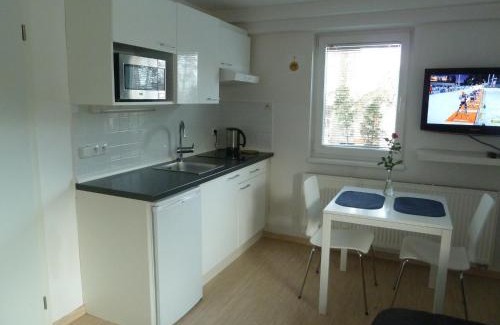 Vrchlabi Apartamento | Apartment Red Tree
