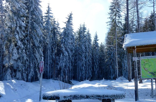 Tambach-Dietharz Apartamento | Apartamento Rennsteigblick