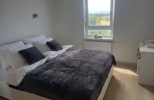 Varazdin Apartamento | Apartment Rosa