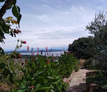 Island Dugi Otok Apartamento | Apartment Ruza