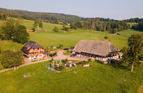 Hinterzarten Apartamento | Apartment 'Schauinsland' with Mountain View, Private Terrace and Wi-Fi