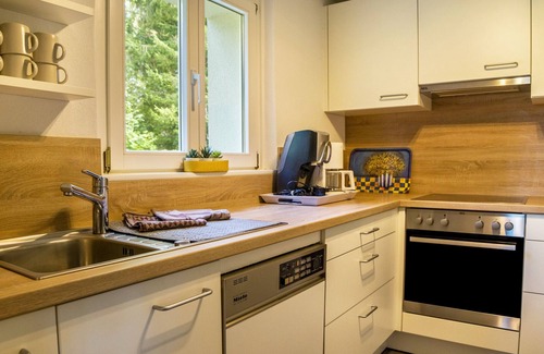 Faulenfurst-Seebrugg Apartamento | Apartamento 'Schluchseeoase' con vistas a la montaña, terraza privada y Wi-Fi