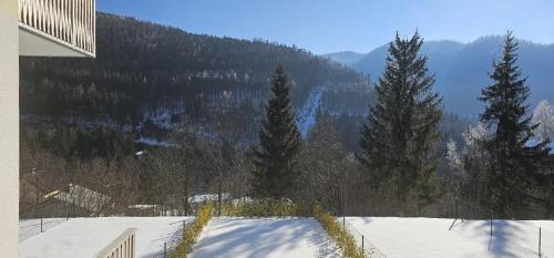 Spital am Semmering Apartamento | Apartment Sebastian