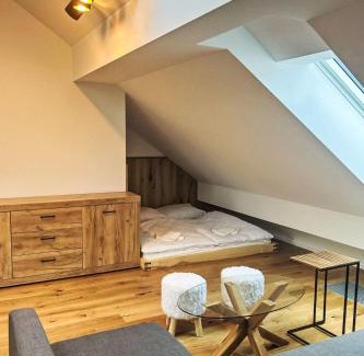 Janske Lazne Apartamento | Apartment Ski&Bike Siréna 4-2 by Interhome