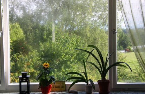 Ailingen Apartamento | Apartamento 'Sonnenblume' con jardín privado y Wi-Fi