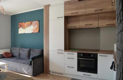 Sosnowiec Apartamento | Apartment Sosnowiec City - Free Parking - easy check-in