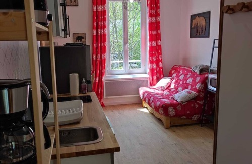 Mont-Dore Apartamento | Apartment T2 22m² Les Brumes, 1km from downtown Mont dore