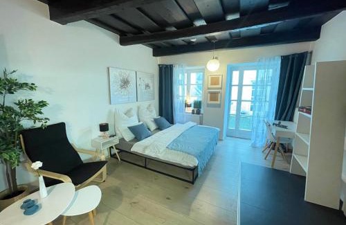 Passau Apartamento | Apartment threeRivers