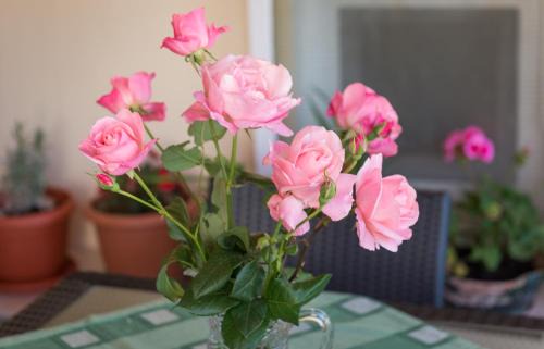 Dubrovnik Apartamento | Apartment Timea