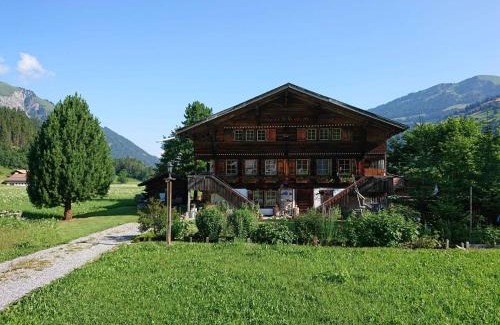 Lenk Apartamento | Apartment Trachsel-Huus by Interhome