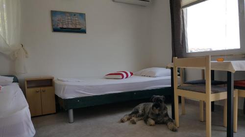 Island Dugi Otok Apartamento | Apartment Viktor