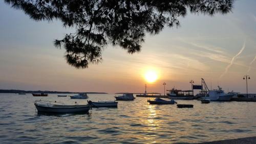 Stinjan Apartamento | Apartment Vilic