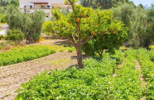 Peschici Apartamento | Apartment Villa Tavaglione-1 by Interhome