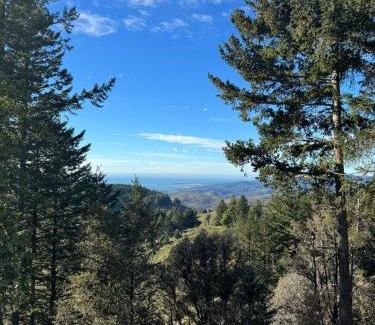Redwood City Apartamento | Apartment w hot tub forest & ocean view