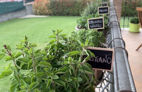Sasso Marconi Casa | Apartment with garden